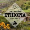 Ethiopia Limu