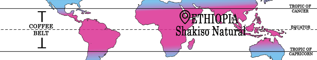Ethiopia Shakiso