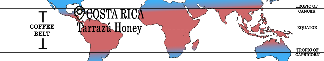 Costa Rica Tarrazu Honey