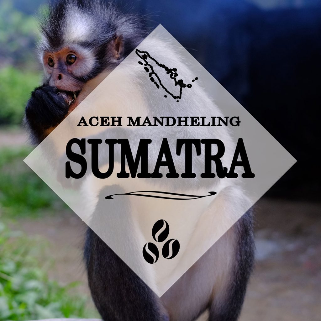 sumatra mandheling roast profile