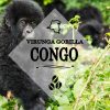 Congo Coffee